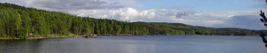 Scenary
